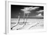 Cuba Fuerte Collection B&W - Trees and White Sand XI-Philippe Hugonnard-Framed Photographic Print