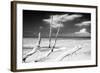 Cuba Fuerte Collection B&W - Trees and White Sand XI-Philippe Hugonnard-Framed Photographic Print