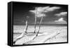 Cuba Fuerte Collection B&W - Trees and White Sand XI-Philippe Hugonnard-Framed Stretched Canvas