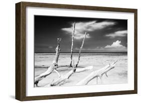 Cuba Fuerte Collection B&W - Trees and White Sand XI-Philippe Hugonnard-Framed Photographic Print