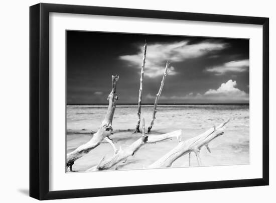 Cuba Fuerte Collection B&W - Trees and White Sand XI-Philippe Hugonnard-Framed Photographic Print