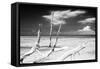 Cuba Fuerte Collection B&W - Trees and White Sand XI-Philippe Hugonnard-Framed Stretched Canvas