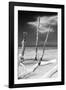 Cuba Fuerte Collection B&W - Trees and White Sand XII-Philippe Hugonnard-Framed Photographic Print