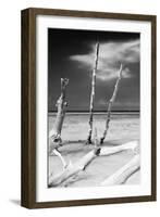 Cuba Fuerte Collection B&W - Trees and White Sand XII-Philippe Hugonnard-Framed Photographic Print