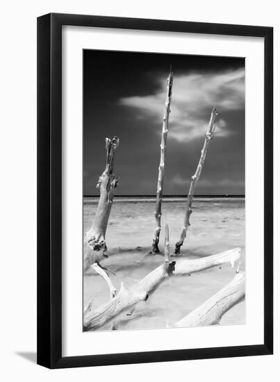 Cuba Fuerte Collection B&W - Trees and White Sand XII-Philippe Hugonnard-Framed Photographic Print