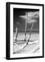 Cuba Fuerte Collection B&W - Trees and White Sand XII-Philippe Hugonnard-Framed Photographic Print