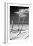 Cuba Fuerte Collection B&W - Trees and White Sand XII-Philippe Hugonnard-Framed Photographic Print