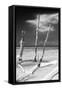 Cuba Fuerte Collection B&W - Trees and White Sand XII-Philippe Hugonnard-Framed Stretched Canvas