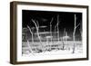 Cuba Fuerte Collection B&W - Trees and White Sand XIII-Philippe Hugonnard-Framed Photographic Print