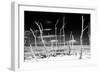 Cuba Fuerte Collection B&W - Trees and White Sand XIII-Philippe Hugonnard-Framed Photographic Print