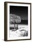 Cuba Fuerte Collection B&W - Tropical Beach Umbrella II-Philippe Hugonnard-Framed Photographic Print