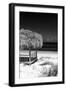 Cuba Fuerte Collection B&W - Tropical Beach Umbrella II-Philippe Hugonnard-Framed Photographic Print