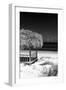 Cuba Fuerte Collection B&W - Tropical Beach Umbrella II-Philippe Hugonnard-Framed Photographic Print