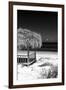 Cuba Fuerte Collection B&W - Tropical Beach Umbrella II-Philippe Hugonnard-Framed Photographic Print