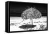 Cuba Fuerte Collection B&W - Tropical Beach Umbrella III-Philippe Hugonnard-Framed Stretched Canvas