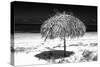 Cuba Fuerte Collection B&W - Tropical Beach Umbrella III-Philippe Hugonnard-Stretched Canvas