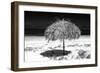 Cuba Fuerte Collection B&W - Tropical Beach Umbrella III-Philippe Hugonnard-Framed Photographic Print