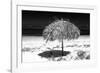 Cuba Fuerte Collection B&W - Tropical Beach Umbrella III-Philippe Hugonnard-Framed Photographic Print