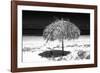 Cuba Fuerte Collection B&W - Tropical Beach Umbrella III-Philippe Hugonnard-Framed Photographic Print