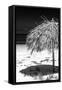 Cuba Fuerte Collection B&W - Tropical Beach Umbrella IV-Philippe Hugonnard-Framed Stretched Canvas