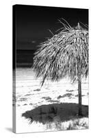 Cuba Fuerte Collection B&W - Tropical Beach Umbrella IV-Philippe Hugonnard-Stretched Canvas