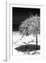 Cuba Fuerte Collection B&W - Tropical Beach Umbrella IV-Philippe Hugonnard-Framed Photographic Print