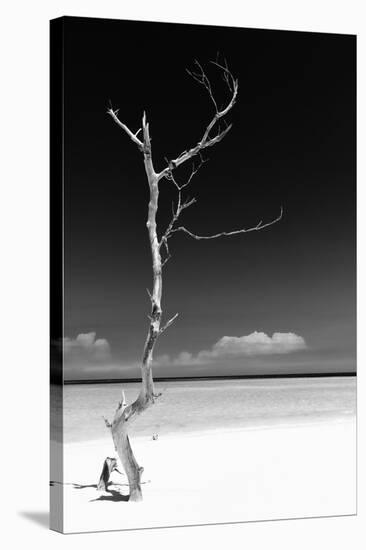 Cuba Fuerte Collection B&W - White Beach II-Philippe Hugonnard-Stretched Canvas