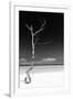 Cuba Fuerte Collection B&W - White Beach II-Philippe Hugonnard-Framed Photographic Print