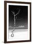 Cuba Fuerte Collection B&W - White Beach II-Philippe Hugonnard-Framed Photographic Print