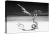 Cuba Fuerte Collection B&W - White Beach III-Philippe Hugonnard-Stretched Canvas