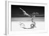 Cuba Fuerte Collection B&W - White Beach III-Philippe Hugonnard-Framed Photographic Print