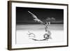 Cuba Fuerte Collection B&W - White Beach III-Philippe Hugonnard-Framed Photographic Print