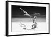 Cuba Fuerte Collection B&W - White Beach III-Philippe Hugonnard-Framed Photographic Print