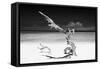 Cuba Fuerte Collection B&W - White Beach III-Philippe Hugonnard-Framed Stretched Canvas