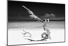 Cuba Fuerte Collection B&W - White Beach III-Philippe Hugonnard-Mounted Photographic Print