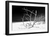 Cuba Fuerte Collection B&W - White Beach IV-Philippe Hugonnard-Framed Photographic Print