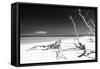 Cuba Fuerte Collection B&W - White Beach-Philippe Hugonnard-Framed Stretched Canvas