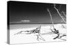 Cuba Fuerte Collection B&W - White Beach-Philippe Hugonnard-Stretched Canvas