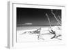 Cuba Fuerte Collection B&W - White Beach-Philippe Hugonnard-Framed Photographic Print