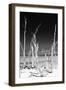Cuba Fuerte Collection B&W - White Trees Beach II-Philippe Hugonnard-Framed Photographic Print