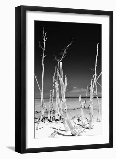 Cuba Fuerte Collection B&W - White Trees Beach II-Philippe Hugonnard-Framed Photographic Print
