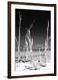 Cuba Fuerte Collection B&W - White Trees Beach II-Philippe Hugonnard-Framed Photographic Print