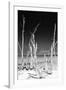 Cuba Fuerte Collection B&W - White Trees Beach II-Philippe Hugonnard-Framed Photographic Print