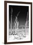 Cuba Fuerte Collection B&W - White Trees Beach II-Philippe Hugonnard-Framed Photographic Print