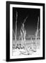 Cuba Fuerte Collection B&W - White Trees Beach II-Philippe Hugonnard-Framed Photographic Print