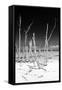 Cuba Fuerte Collection B&W - White Trees Beach III-Philippe Hugonnard-Framed Stretched Canvas