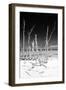 Cuba Fuerte Collection B&W - White Trees Beach III-Philippe Hugonnard-Framed Photographic Print