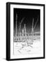 Cuba Fuerte Collection B&W - White Trees Beach III-Philippe Hugonnard-Framed Photographic Print