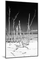 Cuba Fuerte Collection B&W - White Trees Beach III-Philippe Hugonnard-Mounted Photographic Print