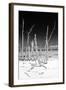 Cuba Fuerte Collection B&W - White Trees Beach III-Philippe Hugonnard-Framed Photographic Print